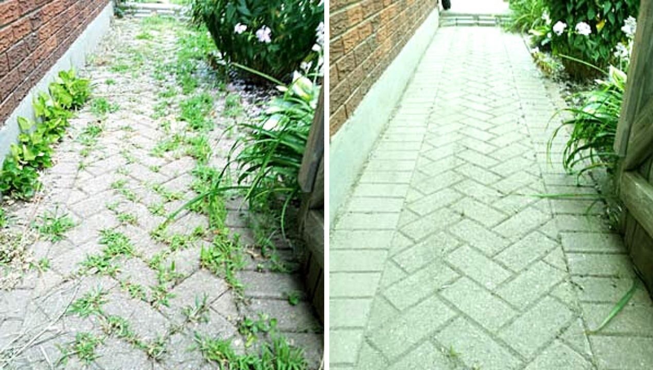 How to Get Rid of Weeds From Paving Stones? A Natural, Cheap and Fast Way to Spray