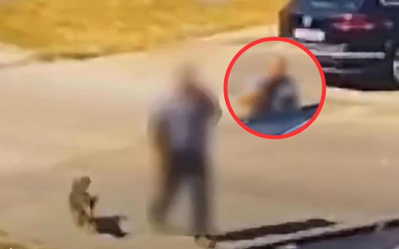 Wyrzucił psa do kosza. Policjanci z Włoszczowy pokazali nagranie