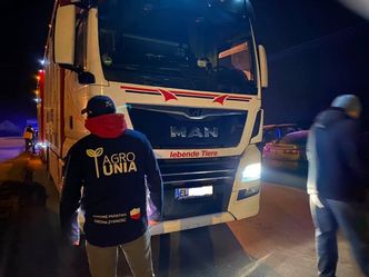 Awantura pod zakładem mięsnym w Mościszkach. Rolnicy blokują transport świń z Niemiec