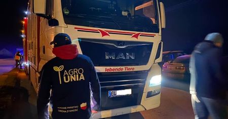 Awantura pod zakładem mięsnym w Mościszkach. Rolnicy blokują transport świń z Niemiec