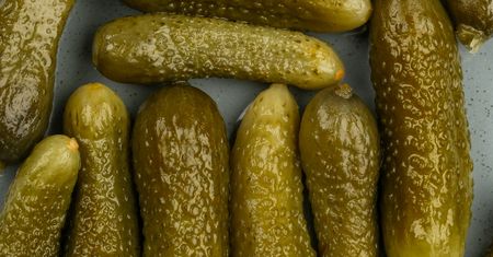 To najlepsza temperatura do kiszenia. Ogórki wychodzą wtedy jędrne i chrupiące