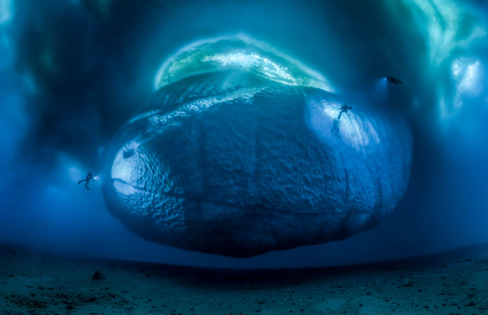 Wildlife Photographer of the Year 2017. Wygrało zdjęcie opowiadające historię zbrodni na nosorożcach 15