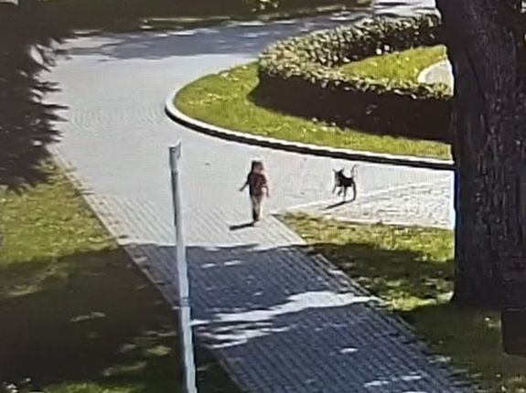 Czujność przechodnia uratowała dziecko. Matka była pod wpływem narkotyków