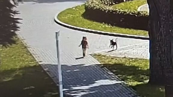 policja