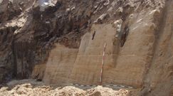 Koparka odsłoniła nowożytną linię obrony miasta? Odkrycie lubelskich archeologów
