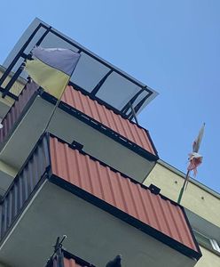 Flagi narodowe Polski i Ukrainy były brudne i podarte. Interweniowali strażnicy miejscy