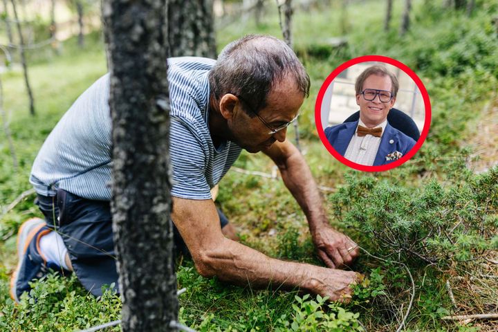 Toksykolog alarmuje. "Ludzie idą na grzyby i kompletnie tracą rozsądek"