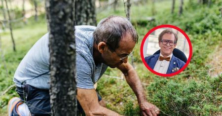 Wysyp w lasach, alarm na toksykologii. "Uszkodzenie wątroby przebiega błyskawicznie"
