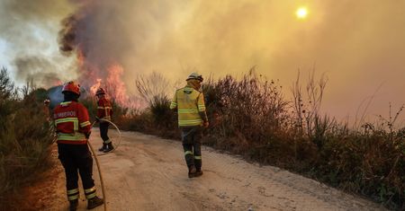 To oni stoją za pożarami w Portugalii? 27 osób zatrzymanych