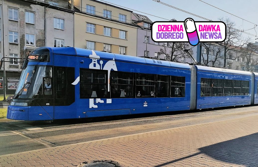 Pies wsiadł do tramwaju. Szczęśliwy finał przejażdżki "na gapę"