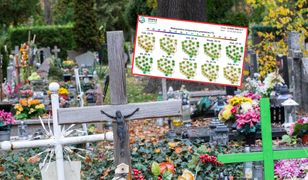 To nie koniec ciepła. Są prognozy na 1 listopada