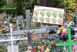 To nie koniec ciepła. Są prognozy na 1 listopada