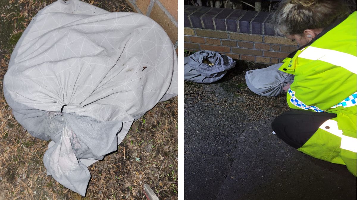 Znalezione przy drodze worki orki skrywały mroczną tajemnicę