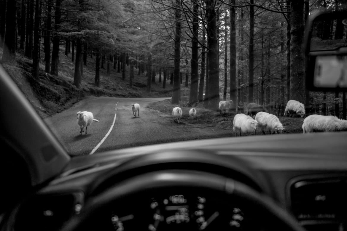 MonoVisions Photography Awards 2017. Polacy nagrodzeni wśród mistrzów fotografii czarno-białej 45