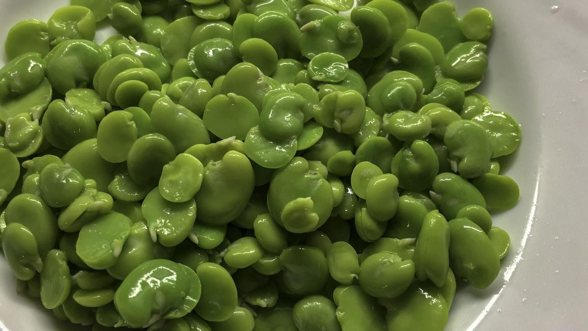 Jakie właściwości ma surowy bób?