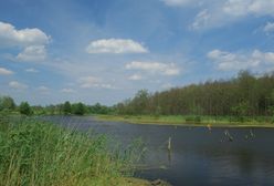 Wyniki wyborów prezydenckich 2025 w Orchówku pod Włodawą. Kto wygrał w miejscowości blisko Ukrainy i Białorusi?