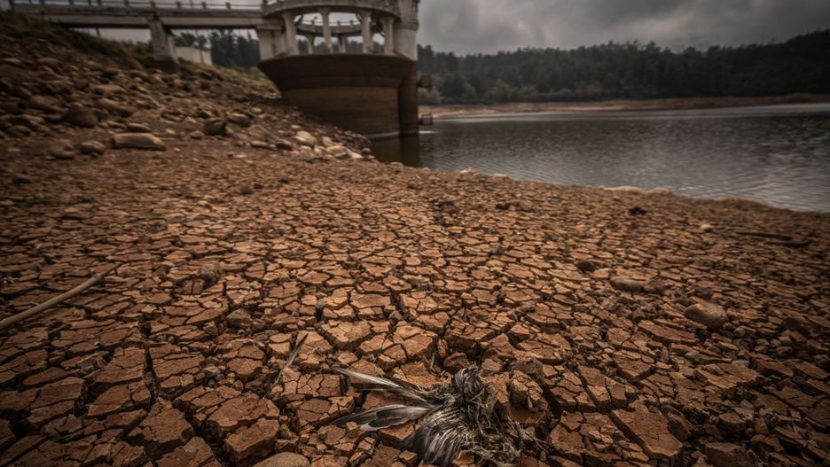El Niño doprowadziło do suszy w Bogocie. Władze racjonują wodę