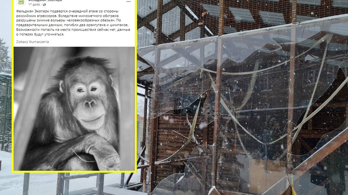 Ogród zoologiczny w obw. charkowskim został ostrzelany przez Rosjan 