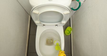 Wsyp ten składnik do toalety. Będzie lśnić jak nowa