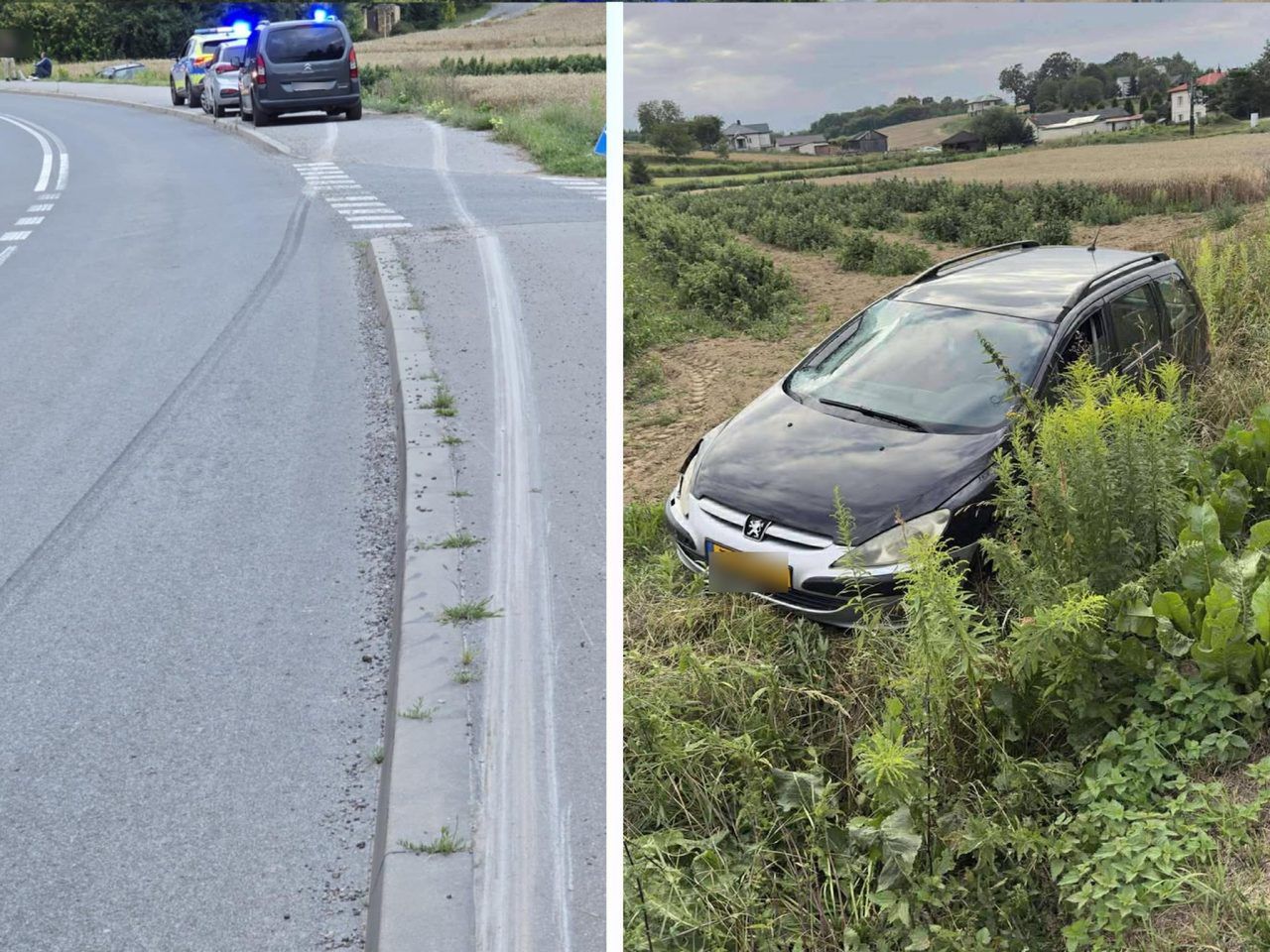 Jakubowice Końskie: Peugeot wypadł z drogi, kierowca zbiegł