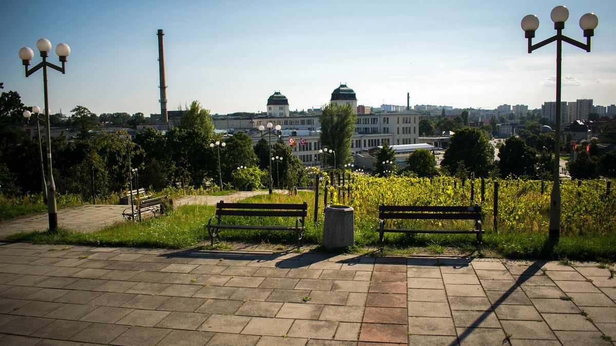 Lista wyborcza kandydatów na prezydenta Zielonej Góry 2024