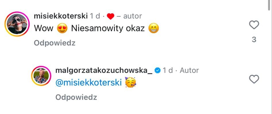 Misiek Koterski zachwyca się Małgorzatą Kożuchowską