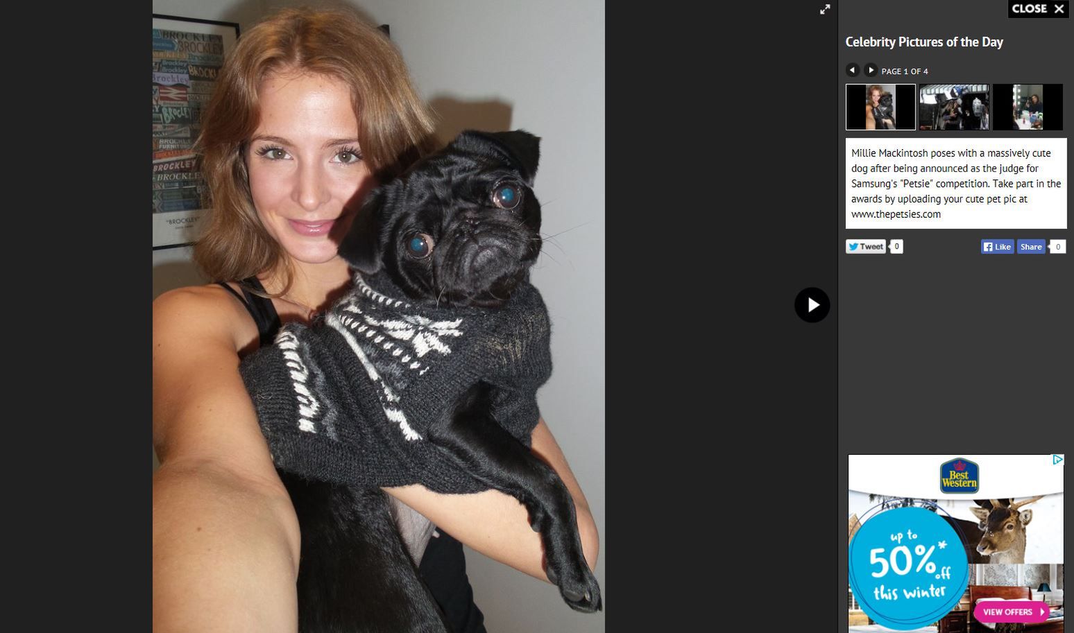 Po "selfie" nadchodzi "petsie". Jaki trend w fotografii społecznościowej będzie następny? 2