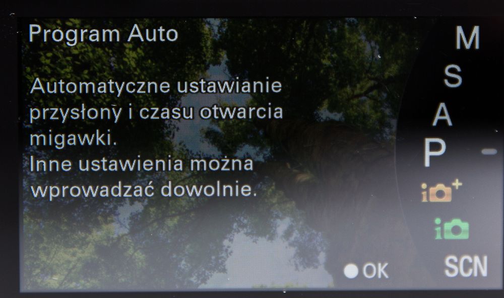 Sony A6000 - solidny bezlusterkowiec w rozsądnej cenie [test] 16