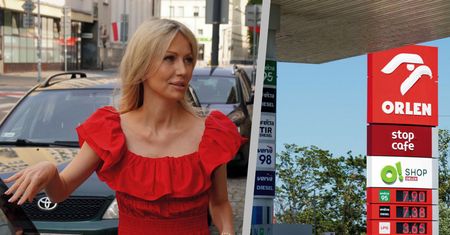 Co za "teoria" Ogórek! Broniła cen paliw. Eksperci zadziwieni