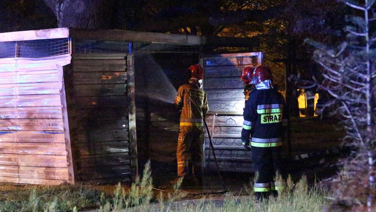 84-letnia radczyni prawna skazana. Podpalała wiaty śmietnikowe