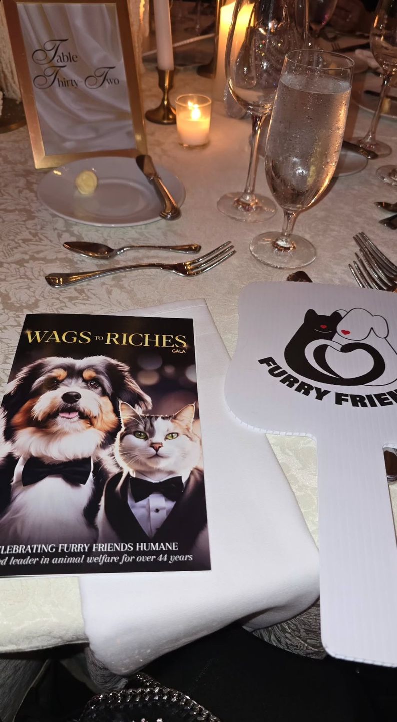 Aneta Glam relacjonuje imprezę u Donalda Trumpa