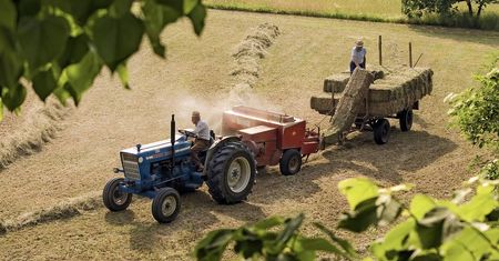 KRUS to niezwykle istotna instytucja dla rolników. Co gwarantuje i jaka jest wysokość składek?