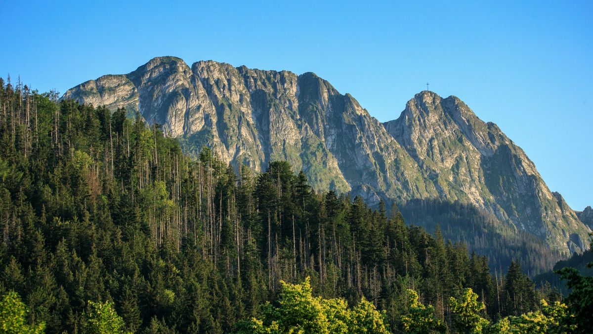 T?umy turyst�w w Zakopanem
fot. Michal Wozniak/East News
20.07.2022
Tlumy turystow w Zakopanem.
N/z: Widok na Giewont.
MICHAL WOZNIAK