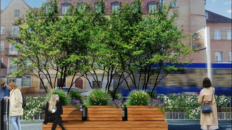 Pierwszy zielony przystanek powstanie na ulicy Kazimierza Wielkiego we Wrocławiu