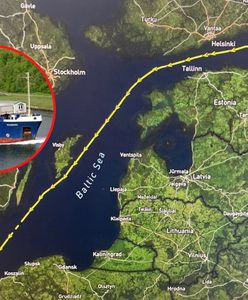 Tony węgla z rosyjskich portów w Polsce. Brejza ujawnia