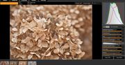 Filmulator – open-source'owy edytor RAW opartym na wywoływaniu odbitek