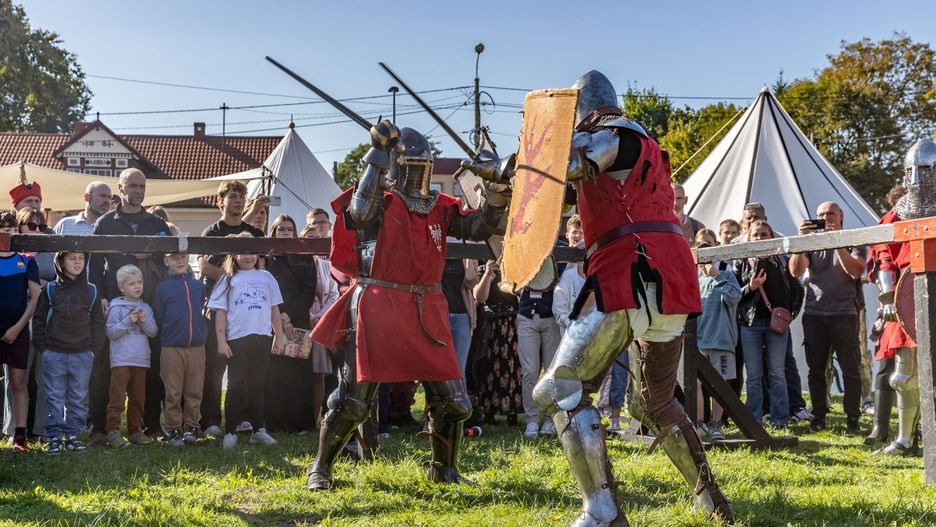 Pola Chwały 2025. W Niepołomicach jak co roku swoje święto mają miłośnicy historii i militariów