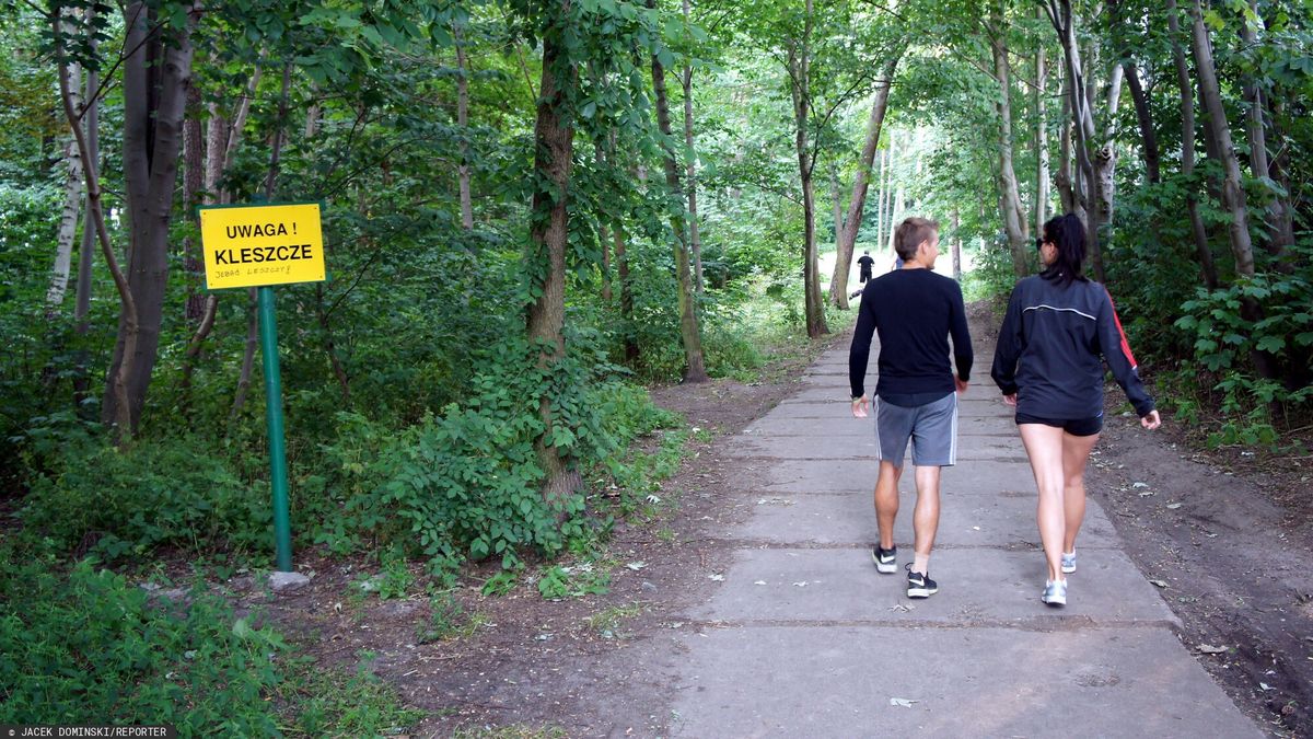reporter5_baza
27.07.2011 Ustka n/z wejscie do lasu z ostrzezeniem przed kleszczami 
fot. Jacek Dominski/REPORTER
Dominski/REPORTER
