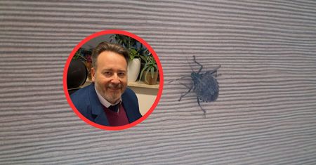 Taki widok zimą? "Nawet do prania wchodzi". Zapytaliśmy eksperta