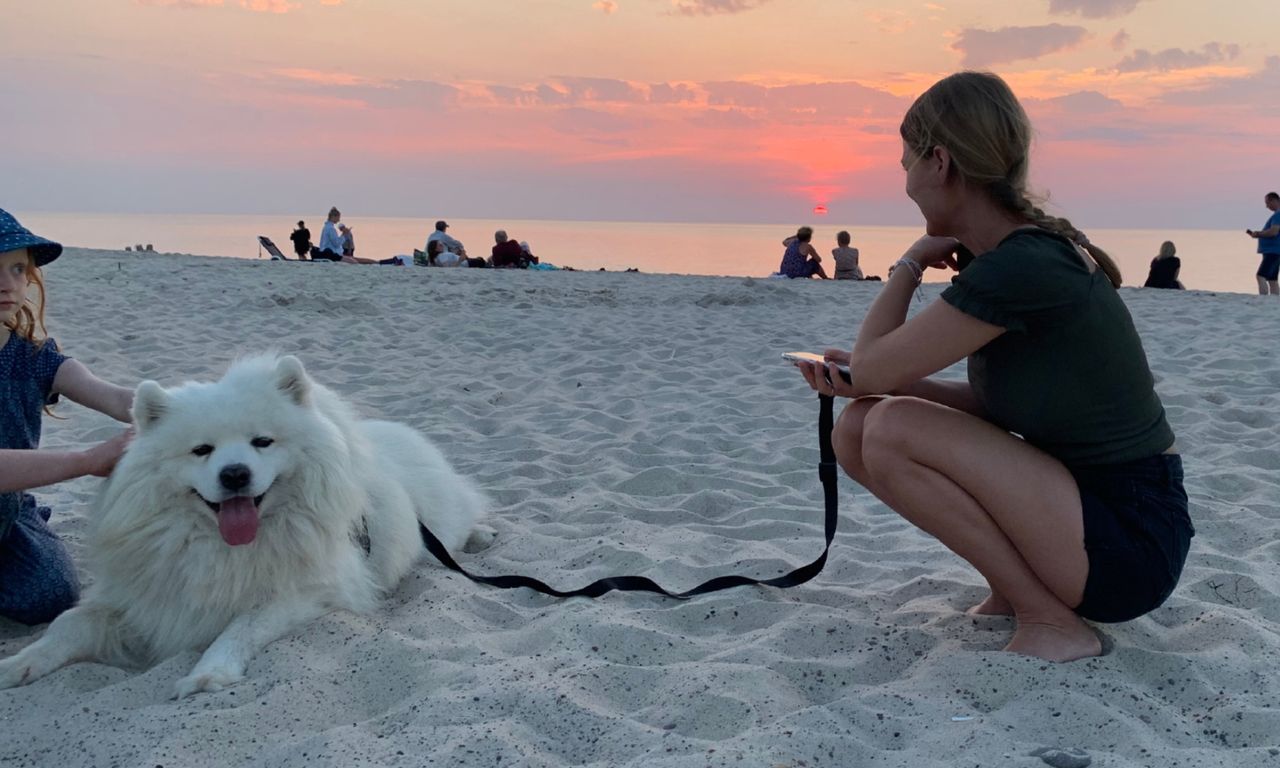 Plażowanie z psem nad polskim morzem, Ustka 2020