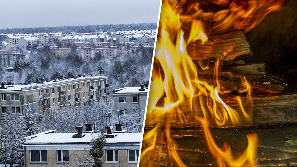 Czy zabraknie drewna na opał? 