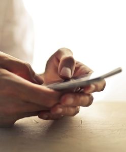 Specjalne zasady na podróż do USA. KE boi się infiltracji służb Trumpa