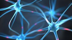 5 produktów, które sprawią, że demencja w przyszłości nie będzie twoim problemem