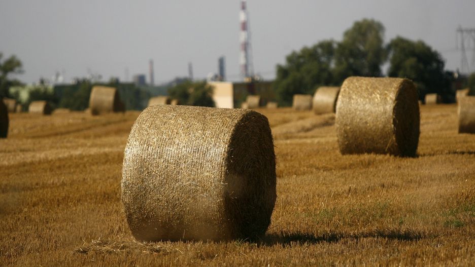 Przesunięcia środków w instrumentach PROW 2014-2020.