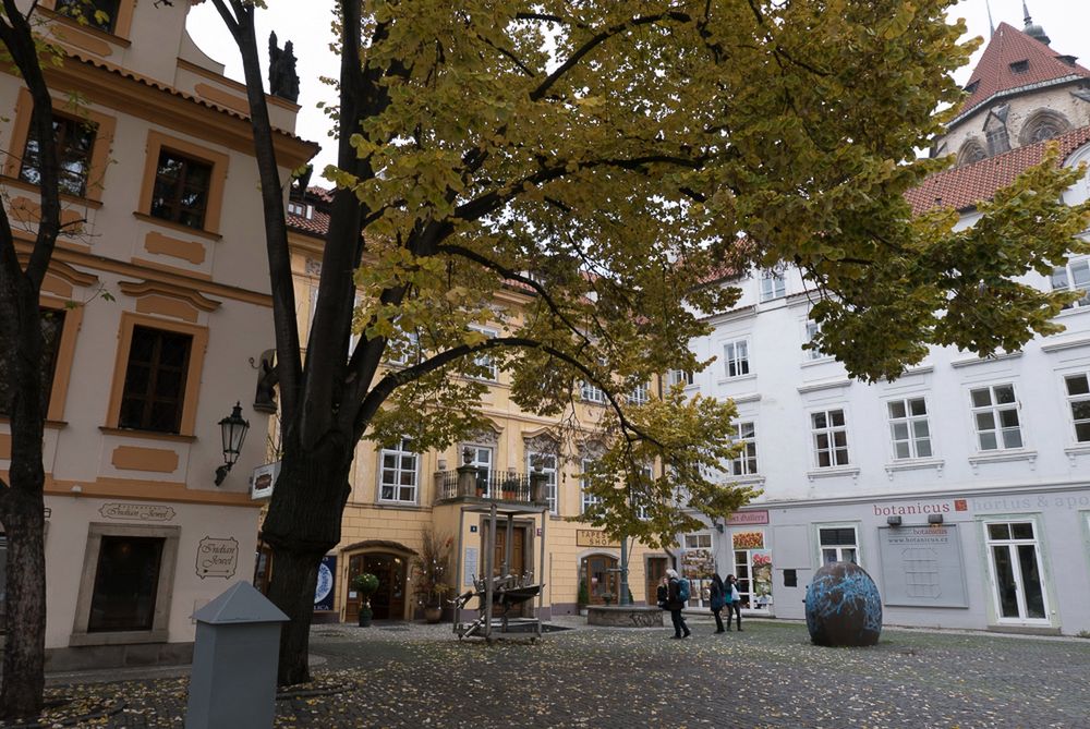Panasonic Lumix LX100 - wszystko, czego potrzebujesz od aparatu kompaktowego [test] 49