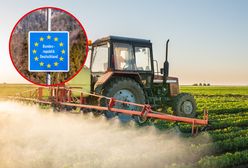 Glifosat pod lupą. Gdzie jest zakazany, a gdzie stosowany mimo ryzyka?