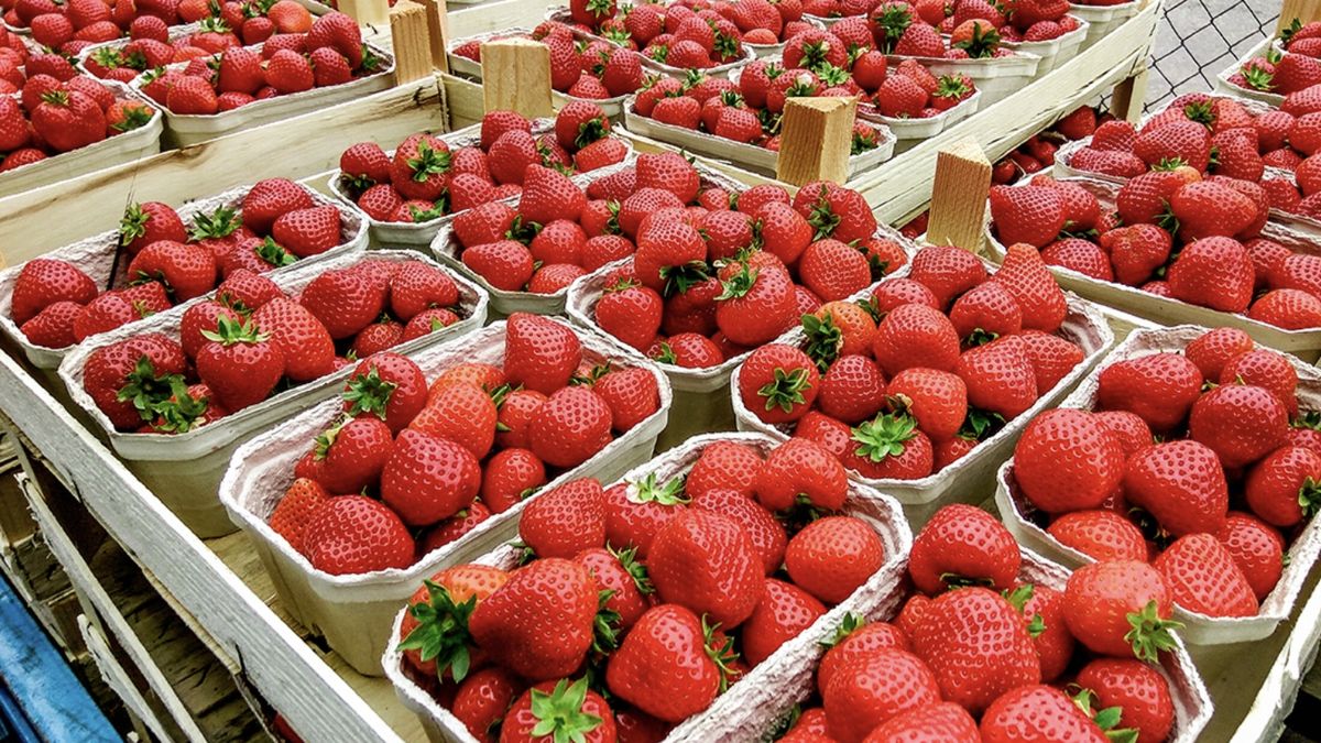 Truskawki j królują na straganach. Jak rozpoznać krajowe odmiany