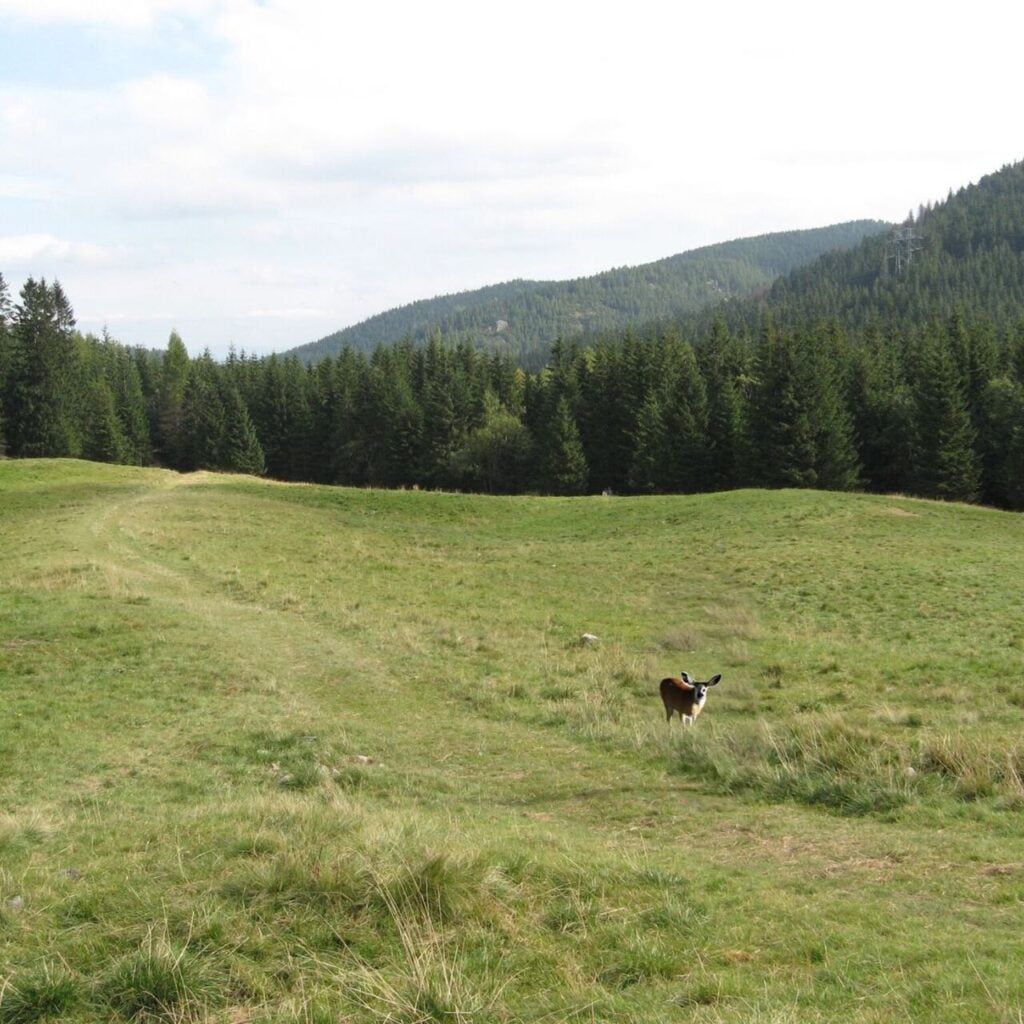 Najłatwiejszy szlak na Giewont