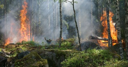 Wielkie pożary co dwa lata. Przyszłość Europy, którą rządy kompletnie ignorują