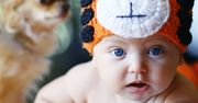 9 wskazówek, jak przygotować zwierzaka na przyjście dziecka?